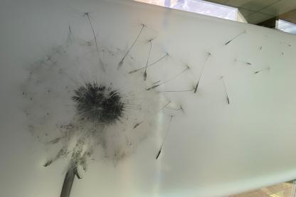 19 Bild web
