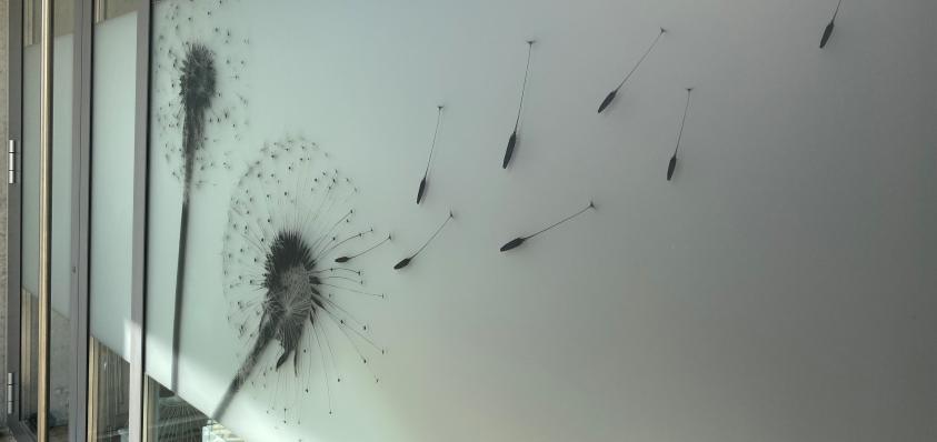 06 Bild web2