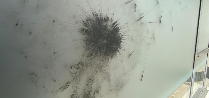 32 Bild web