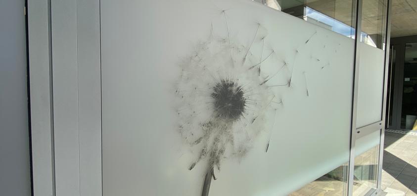 33 Bild