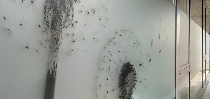 14 Bild web