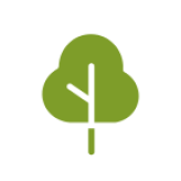 Green Line - CO₂mpensieren – Bäume pflanzen