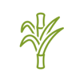 Green Line - Nachhaltigkeit trifft auf Innovation