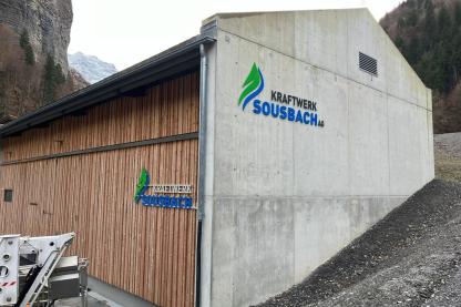 11 Bild web